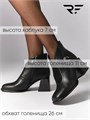 Ботильоны женские демисезонные L-12